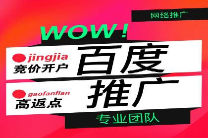 SEM运营策略案例分析