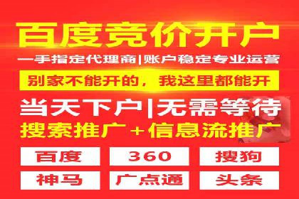谷歌SEM广告投放的ROI优化：一家科技公司的成功经验
